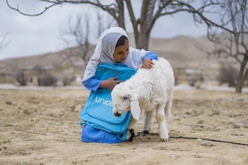 Au Pakistan, une jeune fille tenant contre elle un sac à dos bleu de l’UNICEF joue avec un agneau. 