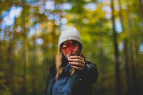 Une jeune fille se tient dans une forêt, tenant une feuille d’érable devant son visage.